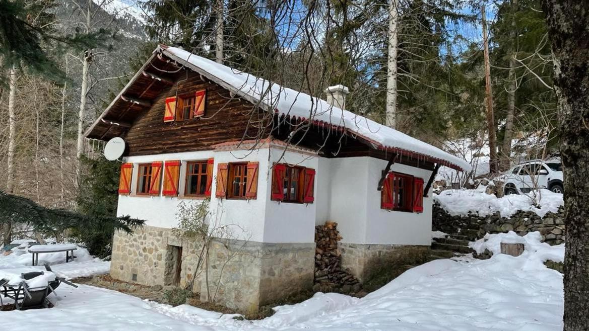 Chalet Le Tyrolien, Au Coeur Du Boreon Saint-Martin-Vésubie Exteriér fotografie