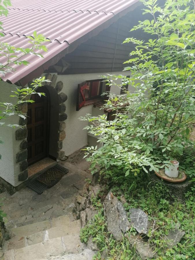 Chalet Le Tyrolien, Au Coeur Du Boreon Saint-Martin-Vésubie Exteriér fotografie